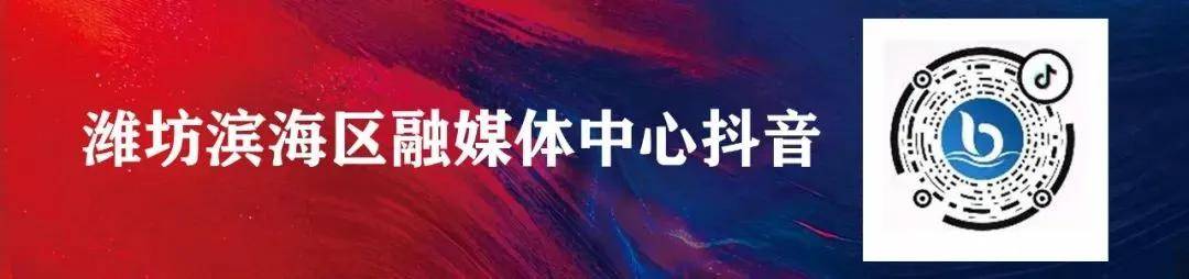 明天滨海队对阵奎文队，赛事消息预告