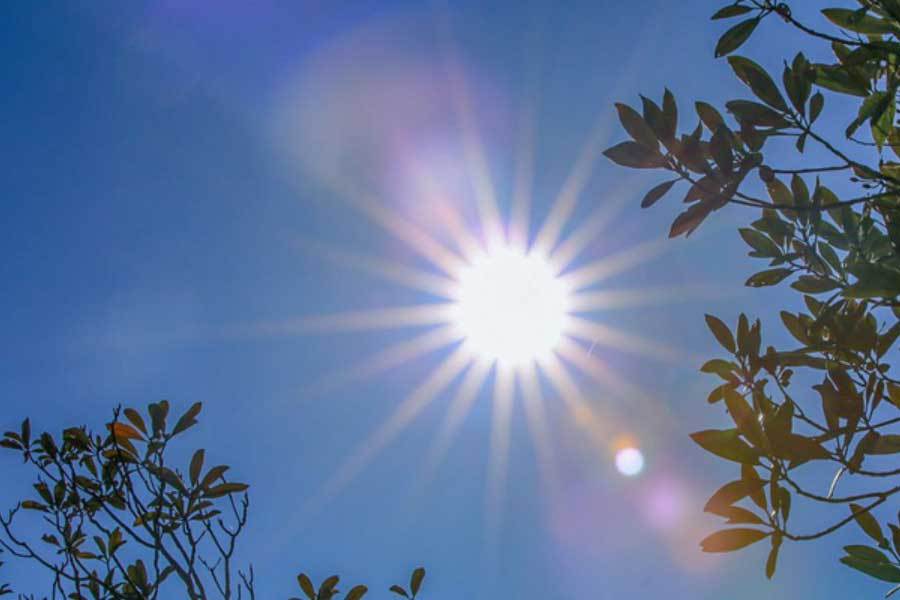 英雄联盟四川总决赛全球顶尖战队对决